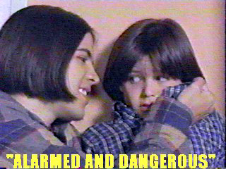 prt-11a.jpg (35425 bytes)